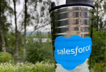 How can you learn to use Salesforce for free?  Our Top 10 Tips.